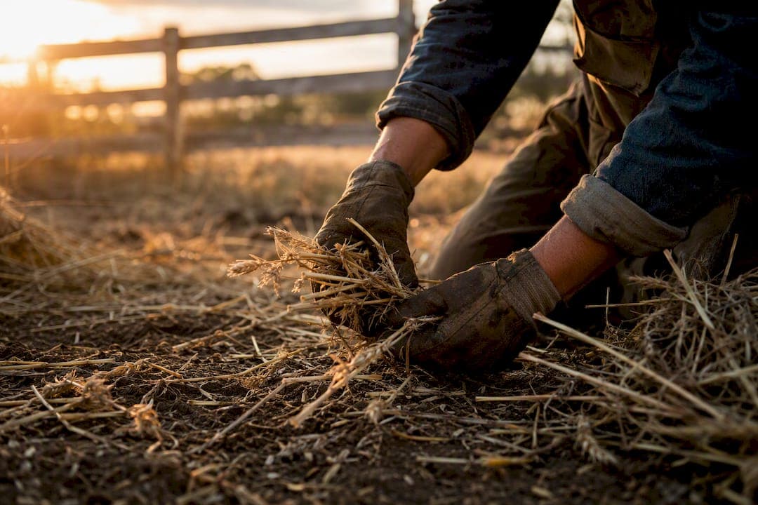 Define Glean: Quick Definition and Usage Guide for Learners